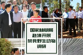 国家林草局赴滇开展禁食野生动物调研图片