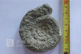 泸州村民捡到一块奇怪的石头，专家：可能是4亿年前的化石图片