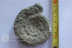 泸州村民捡到一块奇怪的石头，专家：可能是4亿年前的化石图片