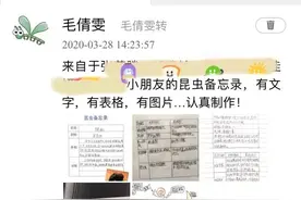 这群青年教师在网上“玩疯了”？！结果大获好评！图片