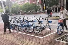 划线了！“小蓝车”停到指定点位， 哈市规划了2万多个“P点”图片