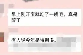 浙江下雪了？今天一早，有网友刚开窗就被吓到了……图片
