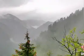 “陇右名山”甘肃兴隆山初夏云山雾绕烟波浩渺图片