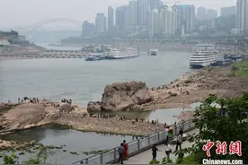 长江重庆段水位走低 千年“神龟”露面吸引眼球图片