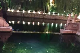 垂丝千尺，意在深潭图片