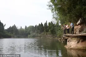 四川内江发现“水中大熊猫”桃花水母图片