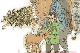 每天抱抱牛图片