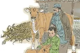 每天抱抱牛图片