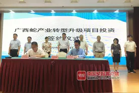 从食用走向药用！广西养蛇产业转型升级正式开启图片
