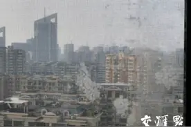 南京街头飘的白色飞絮是啥，里面有虫子？专家解答来了图片
