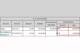 ST浩源年报被“非标”连续跌停 管理层推增持计划图片