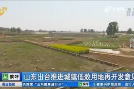 城镇低效用地如何再开发？山东提出4种新模式，促进土地集约利用视频封面