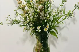 诗歌丨采一束鲜花，献给最美的女神图片