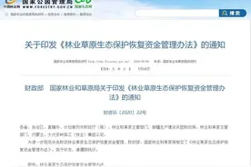 新一轮退耕还林补助来了！补贴标准快来看图片