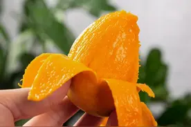 去年热卖100000单的小台农芒来了！甜嫩爽滑还多汁，太馋人了！连吃两三斤都嫌少图片