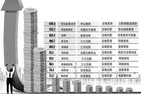 安徽10大富豪 芜湖合肥各占一半图片