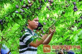 我的青春在远方丨 他在国外工作6年，回国后担任贫困村第一书记，助力扶贫攻坚图片