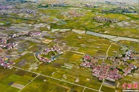 去年全国耕地质量等级公报：一至三等耕地面积超三成图片