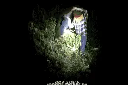 凌晨坟地发来报警：“我还不想死，快来救救我！”图片