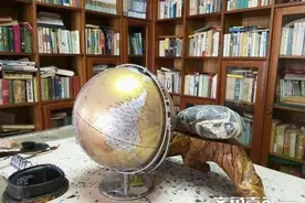 散文丨无家可归的段子（连载之八）图片