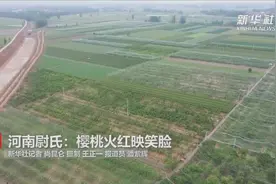 河南尉氏：樱桃火红映笑脸视频封面