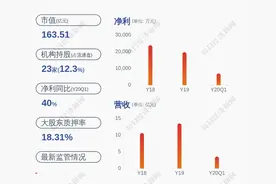 注意！千禾味业：股东伍建勇质押580万股图片
