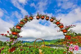 重庆石柱：繁花之上的网红避暑圣地与您相约图片