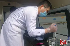 15分钟可完成筛查！河北省石家庄市启动成品油质量快速检测图片