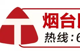 烟台民意通圆桌会｜“绿树成荫”折射城市行道树管理水平！行道树成近期民意通热点图片