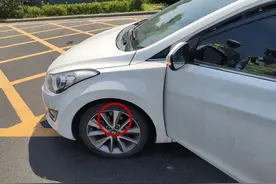 车主被交警拦下时，引擎盖下传来阵阵惨叫声！没想到竟发现一只惊慌失措的小猫图片