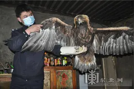 捡到的打蔫儿“大鸟”竟是金雕 民警连夜救助图片