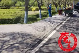 病虫害高发季！哈尔滨启动园林害虫统一防控行动图片