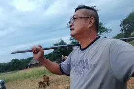 我在津巴布韦挖金矿：因咳嗽被大巴拒载，空旷街上常见野猪野鸡跑图片