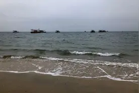 听说工资很高，我应聘到柬埔寨“种菠菜”，结果很意外......图片