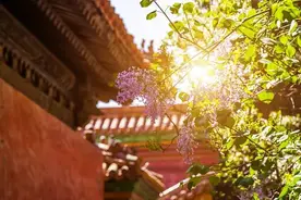三十岁那年，我开始喝茶图片