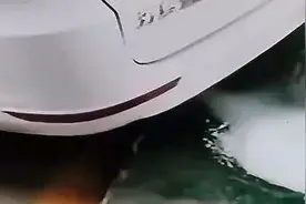 汽车吐白沫事件后续来了！油品问题，车主如何维护自身权益？图片