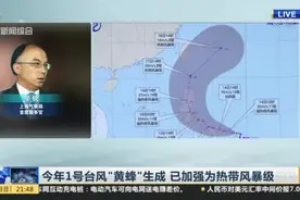 今年1号台风“黄蜂”生成  已加强为热带风暴级：预计将于15日登陆菲律宾  未来两天对中国海域无影响视频封面