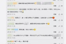 「皮研评」永恒之森平行宇宙（二）：魔女婕拉图片