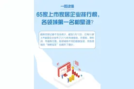 一图读懂65家上市家居企业排行榜，各领域第一名都是谁图片