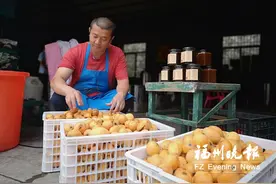 福清一都深挖枇杷附加值 次果制成枇杷膏、枇杷罐头等图片