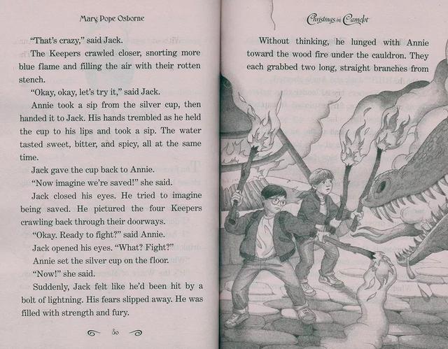 开团 | 女孩们最爱的彩虹魔法仙子&神奇树屋章节书，通往自主阅读的最佳推荐