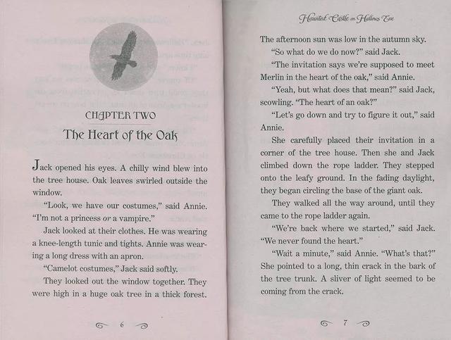 开团 | 女孩们最爱的彩虹魔法仙子&神奇树屋章节书，通往自主阅读的最佳推荐