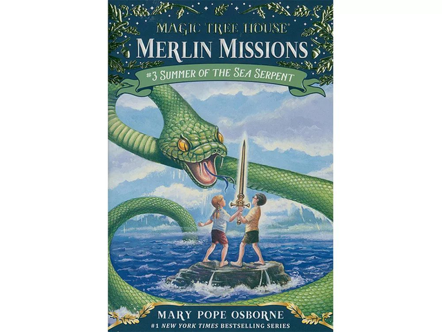 开团 | 女孩们最爱的彩虹魔法仙子&神奇树屋章节书，通往自主阅读的最佳推荐