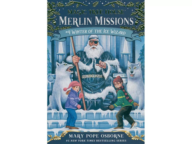 开团 | 女孩们最爱的彩虹魔法仙子&神奇树屋章节书，通往自主阅读的最佳推荐