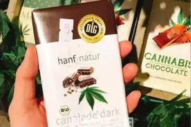 杭州一留学女生带回神秘食物分给朋友，结果被起诉图片