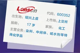 浙股2019年报①丨龙盛：长袖善舞的并购者图片