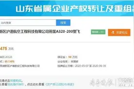 退役飞机A320在山东挂牌转让，底价475万，超600人围观图片