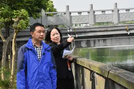 双流老旧城区雨污水管网改造、新体制学校发展这样做丨代表委员展风采图片