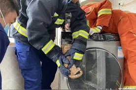 小猫腿卡洗衣机滚筒盖，消防员救它用了5分钟图片