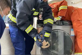 小猫腿卡洗衣机滚筒盖，消防员救它用了5分钟图片